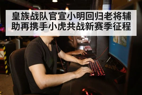 gamer playing computer